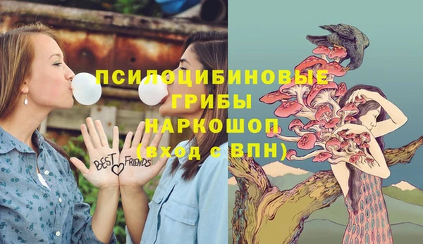 сатива Абинск