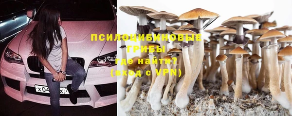 не бодяженный Пересвет