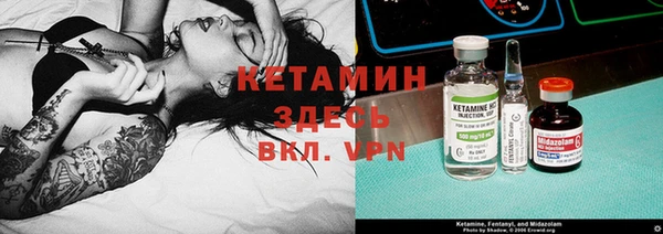 шишки Абаза