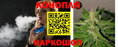 гашик Аргун