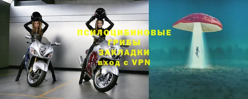 Псилоцибиновые грибы прущие грибы  Апшеронск 