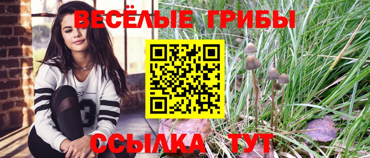 Галлюциногенные грибы Cubensis Апшеронск