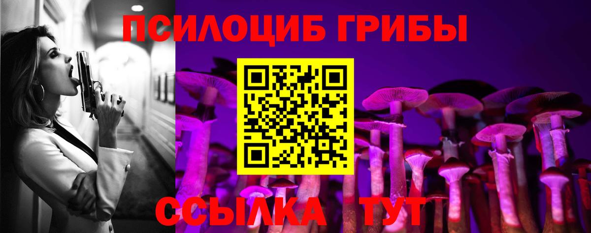 Псилоцибиновые грибы Psilocybine cubensis Апшеронск